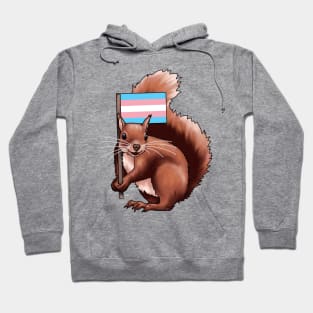 Squirrel with a Trans Flag Hoodie